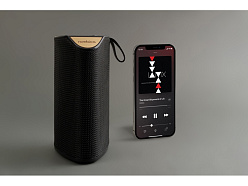 Портативная колонка «Mysound Tetria»