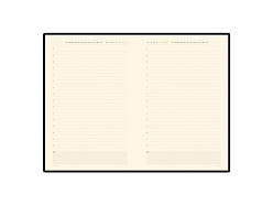 Ежедневник недатированный А5 «Monaco»