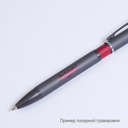 Шариковая ручка АйПи Хамелеон (IP Chameleon)